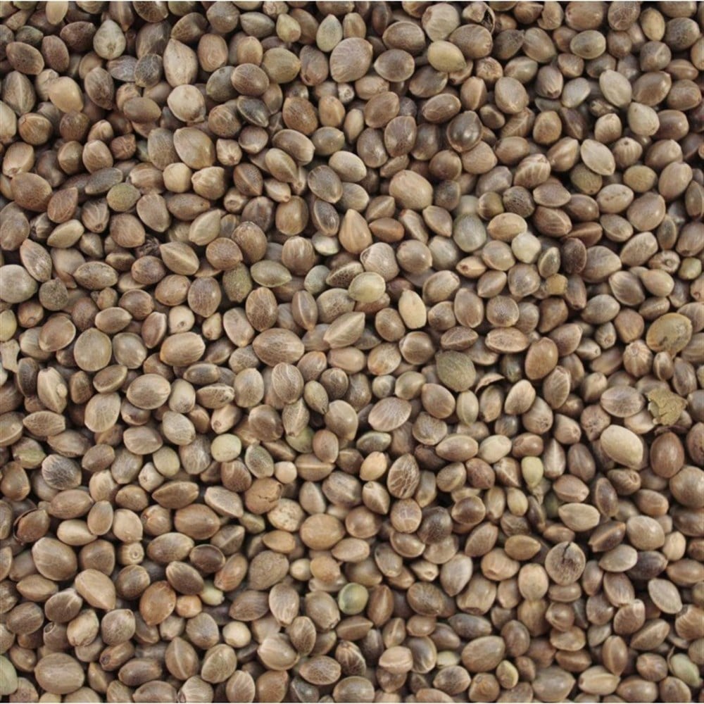 Gannavuri 500 gr