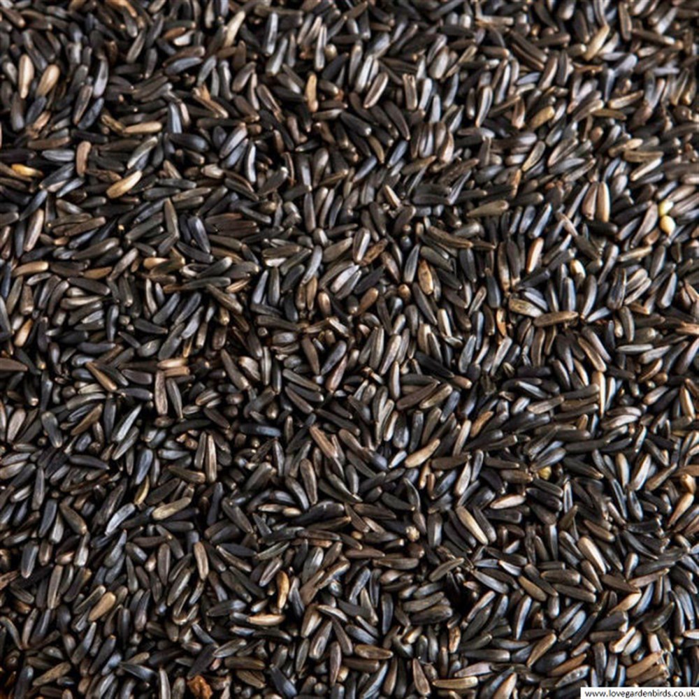 Nijer Seed 500gr.