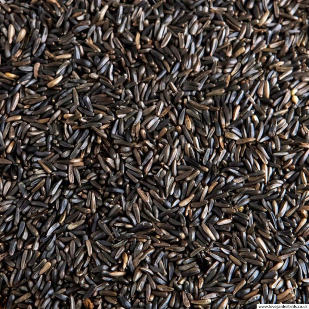 Nijer Seed 750 gr