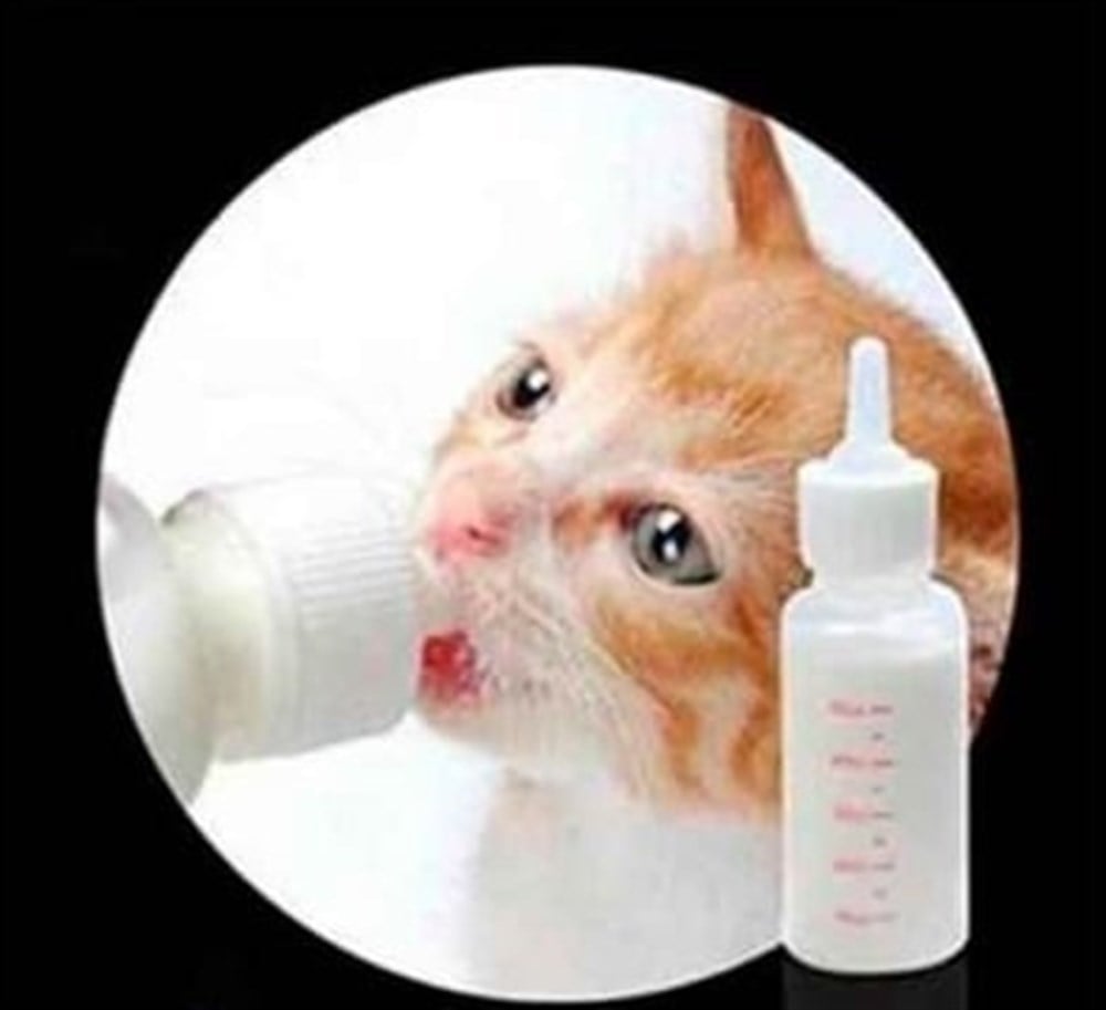 Pet Style Biberon 50ml