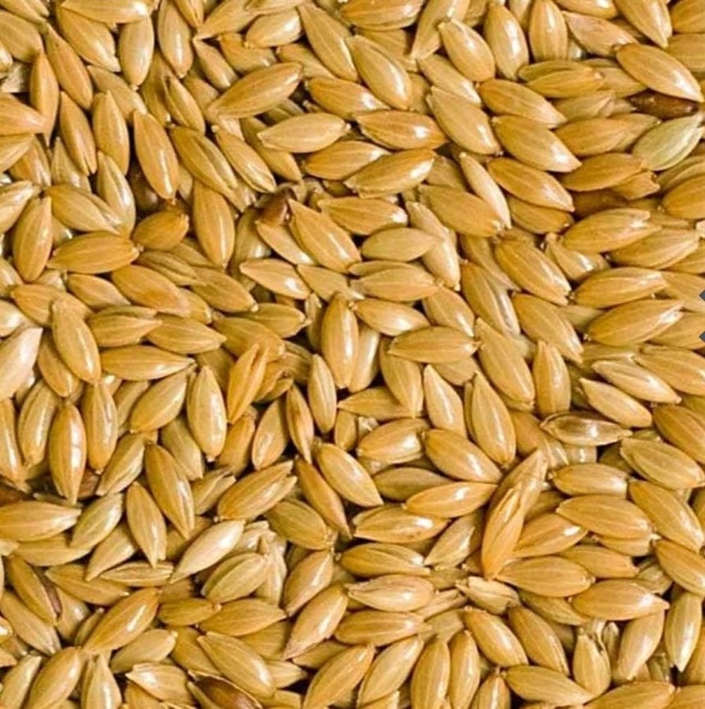 Skanyola 5 kg