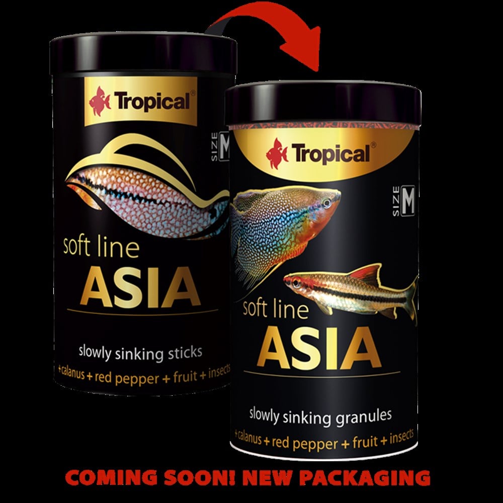 Soft Line Asia M 100 ml 40 gr