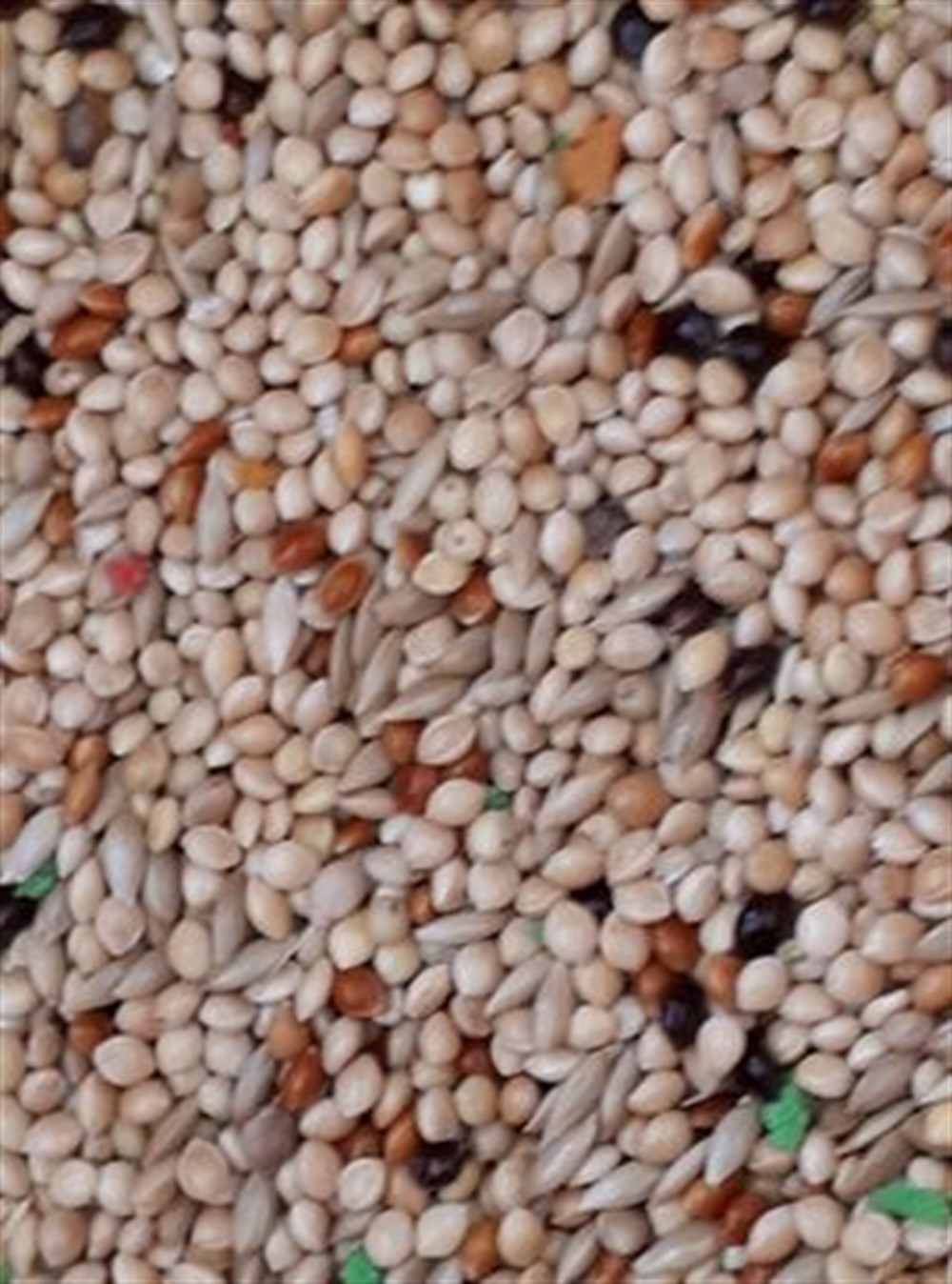 Zebra Mix 5 kg