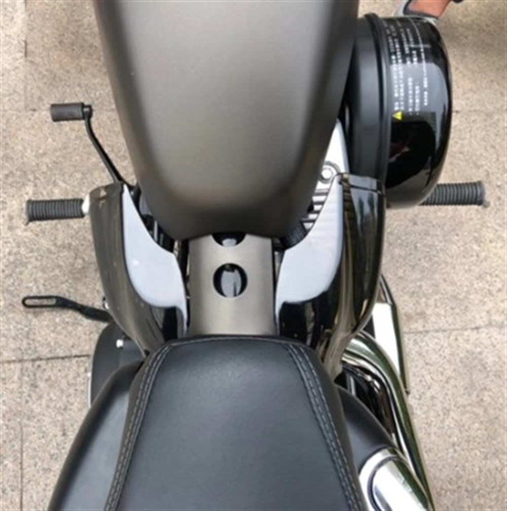 HARLEY DAVIDSON SPORTSTER ISI KALKANI (04-20)