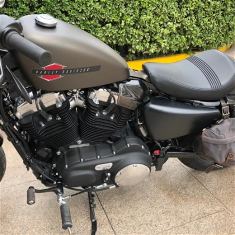 HARLEY DAVIDSON SPORTSTER ISI KALKANI (04-20)