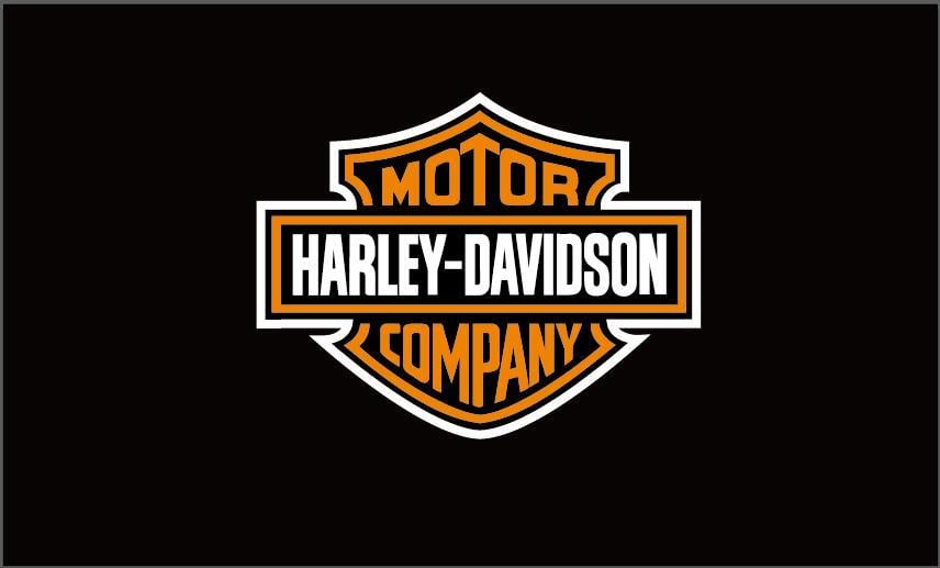 HARLEY DAVIDSON STREET 750 DEBRİYAJ BALATASI+SAC TK