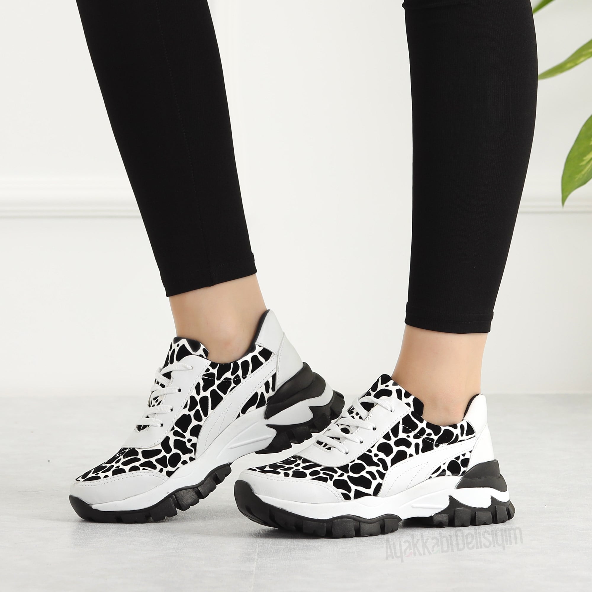Ayova Zebra 