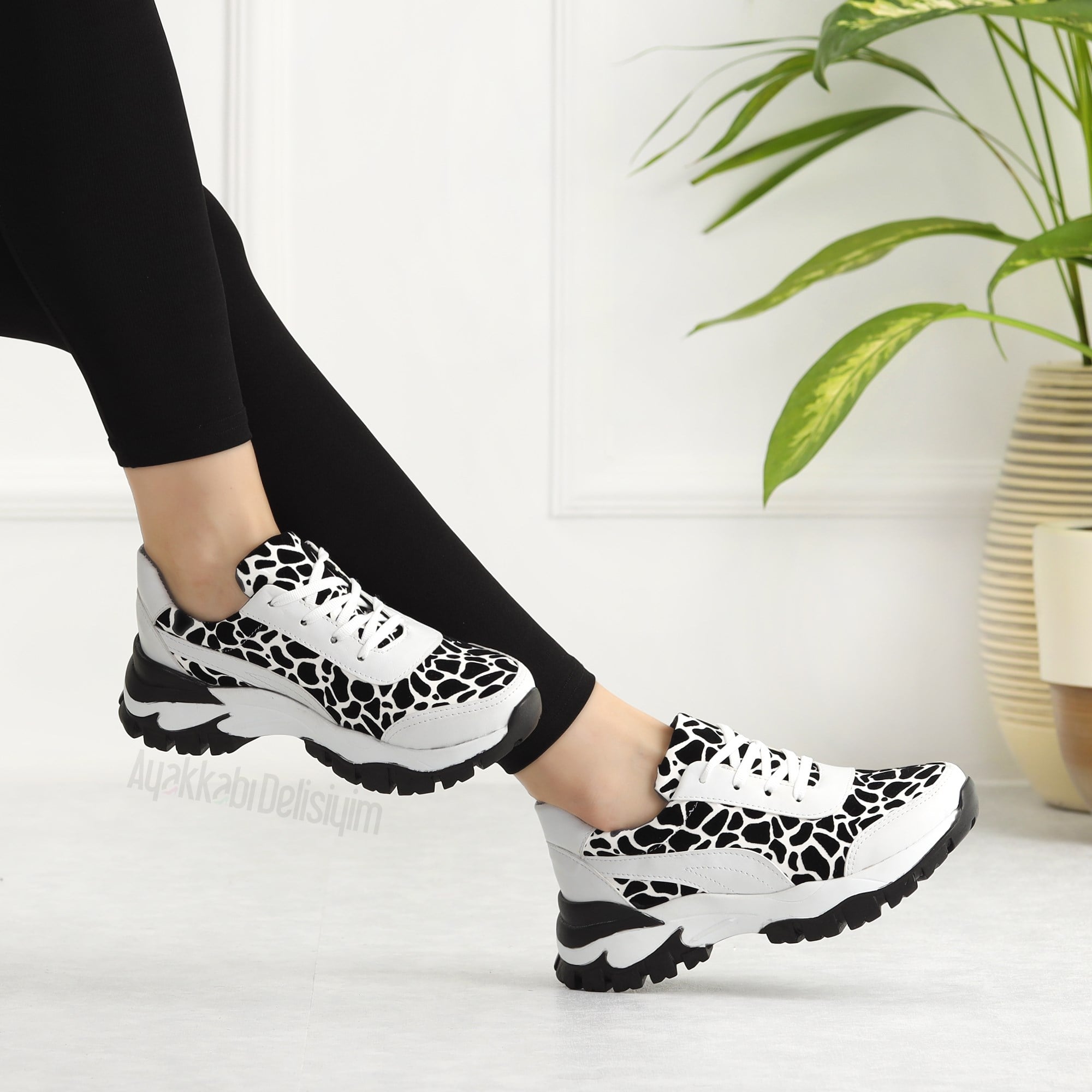 Ayova Zebra 