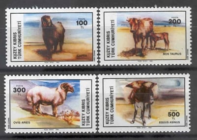 0061 Hayvanlar Sürekli Seri