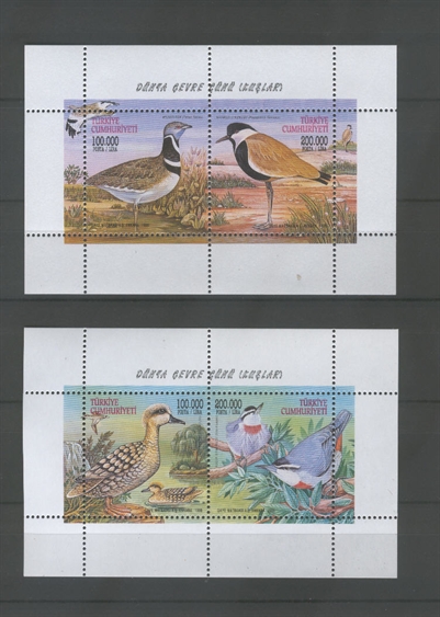 0831 Dünya Çevre Günü - Kuşlar