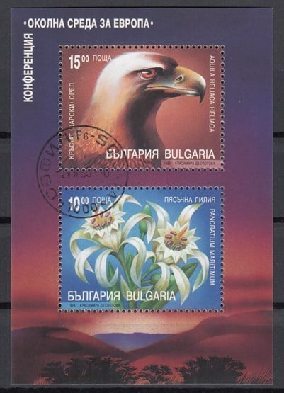 YABANCI BLOK-008