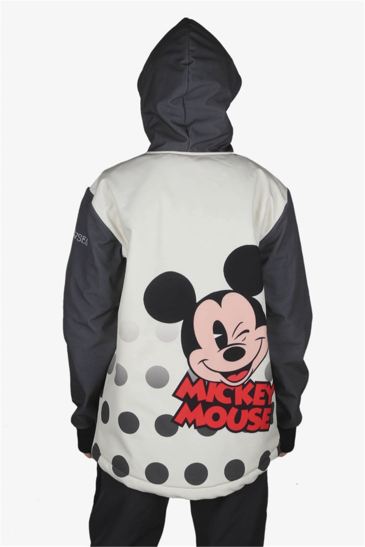 Snowsea Mickey Mouse Snowboard ve Kayak Montu