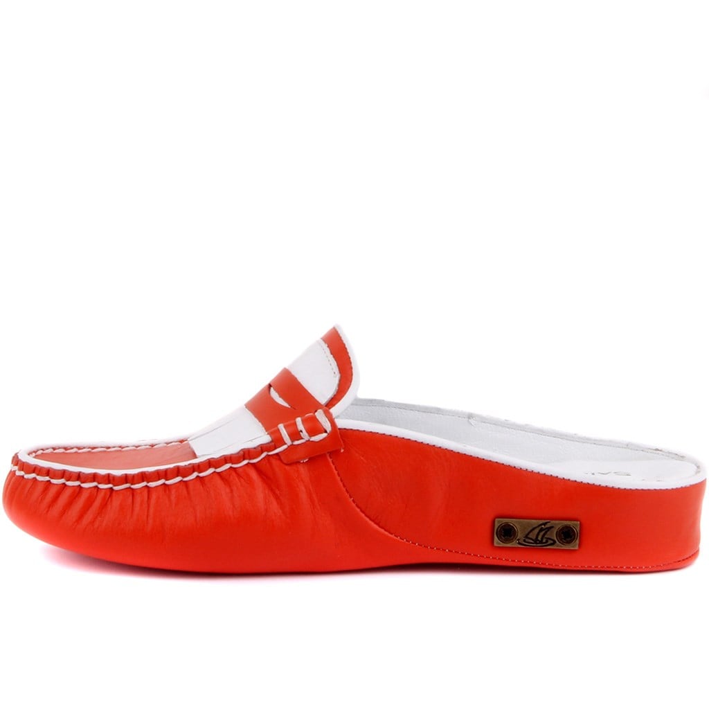 560-B  ZENNE TERLIK