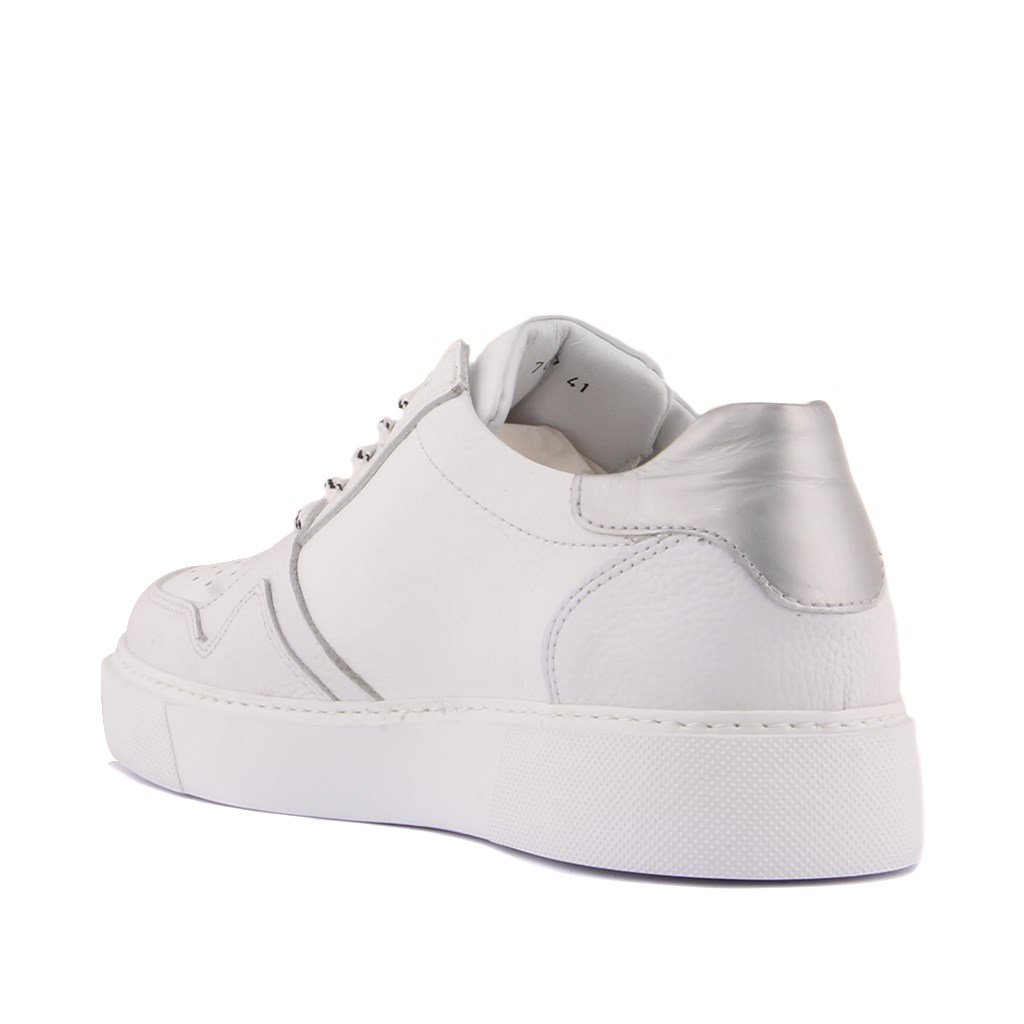 Sail Lakers - Beyaz Deri Bağcıklı Erkek Sneaker
