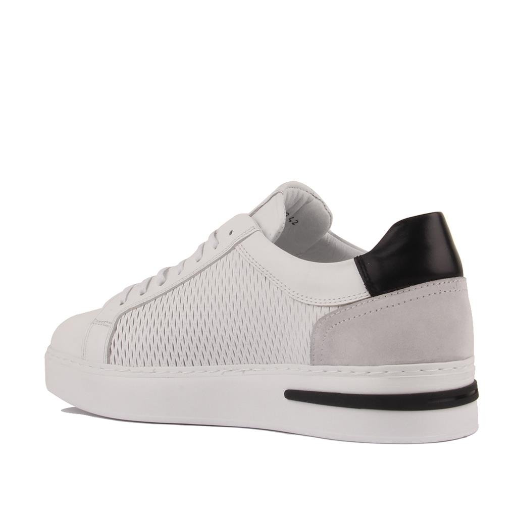 Sail Lakers - Beyaz Deri Bağcıklı Erkek Sneaker