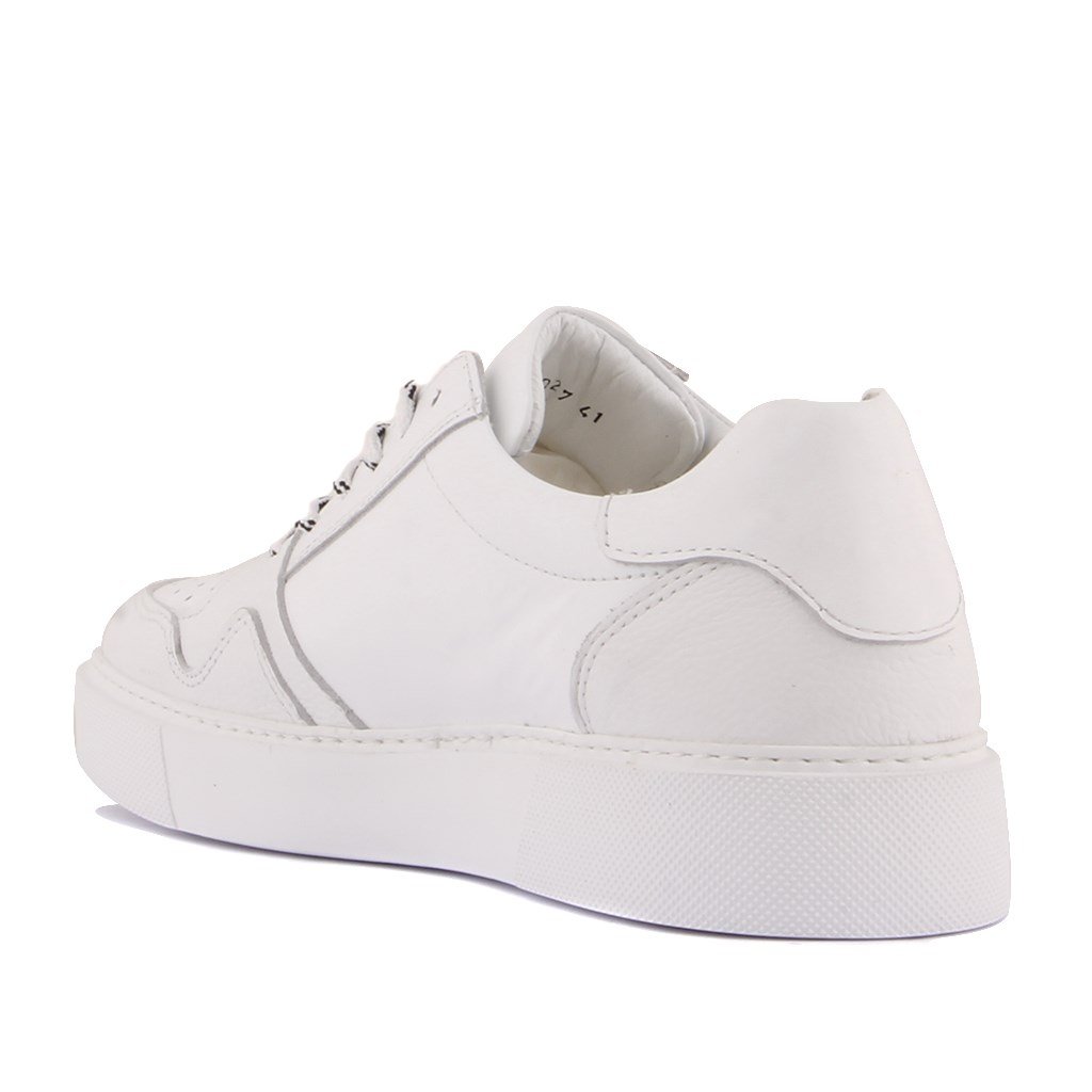 Sail Lakers - Beyaz Deri Bağcıklı Erkek Sneaker