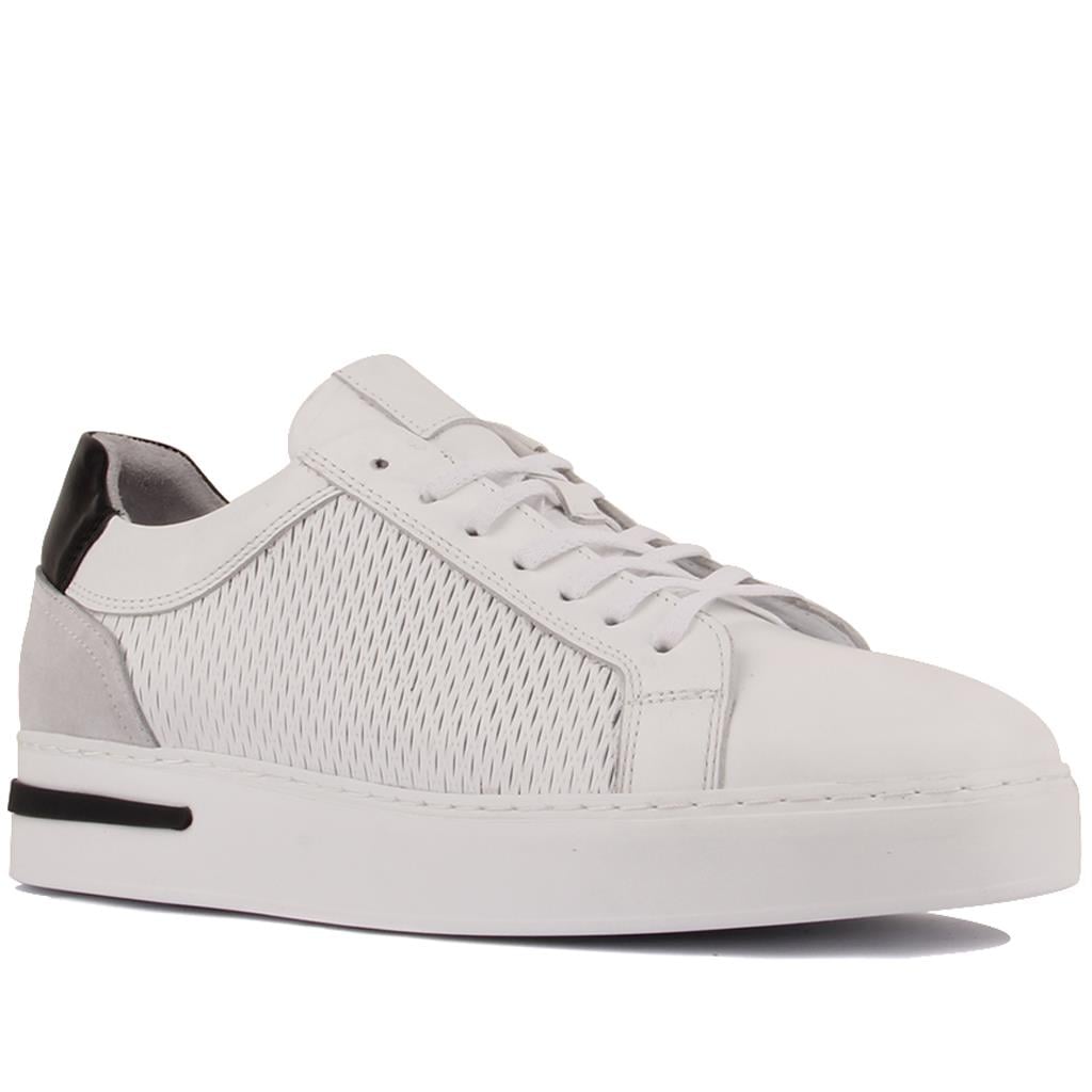 Sail Lakers - Beyaz Deri Bağcıklı Erkek Sneaker