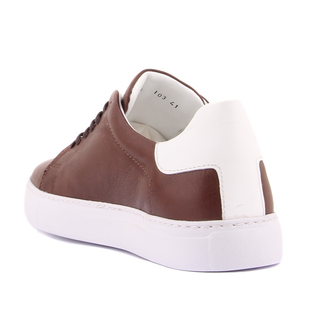Sail Lakers - Kahverengi Deri Erkek Sneaker
