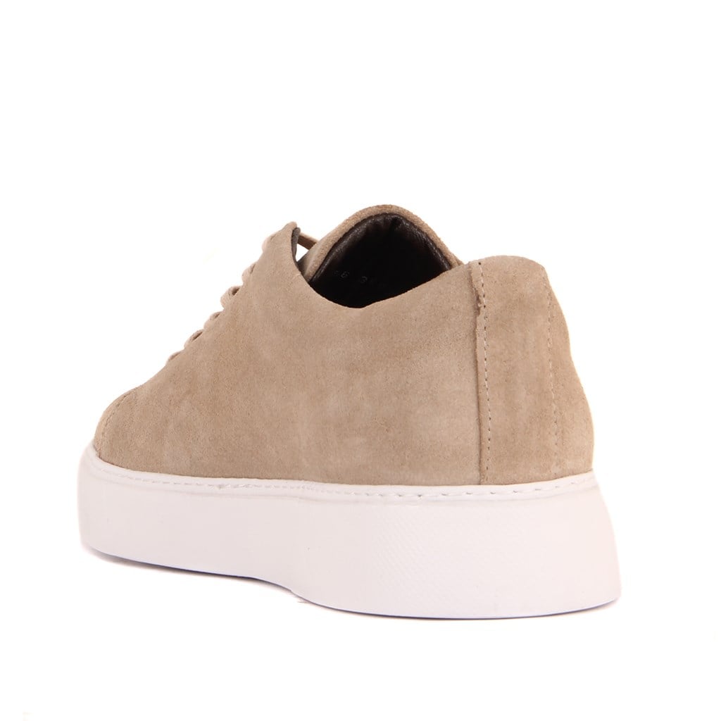 Sail Lakers - Vizon Süet  Bağcıklı Erkek Sneaker 