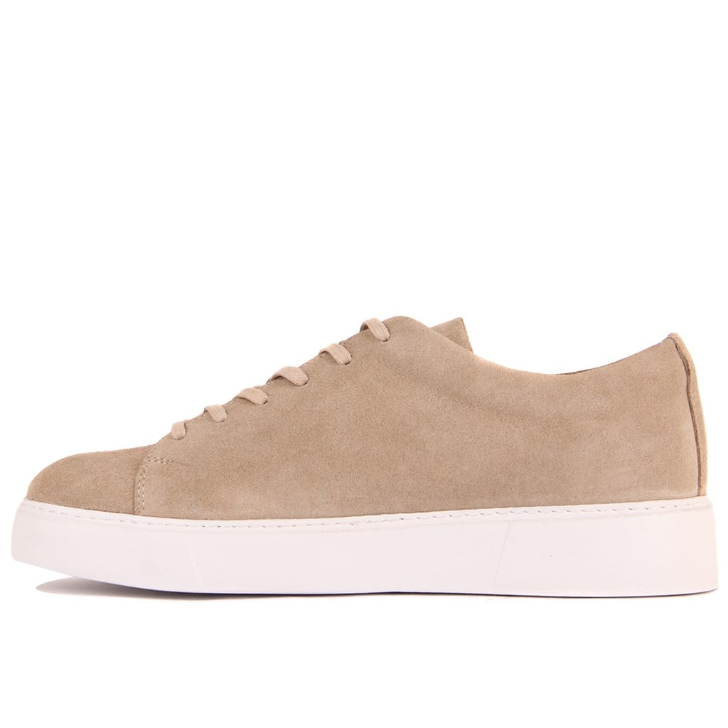 Sail Lakers - Vizon Süet  Bağcıklı Erkek Sneaker 