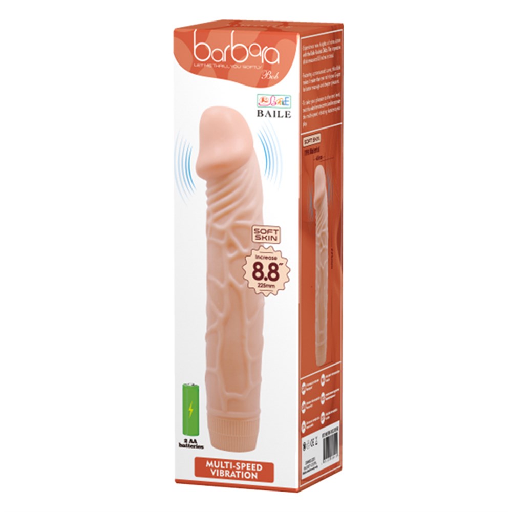 Multi Speed Vibrator