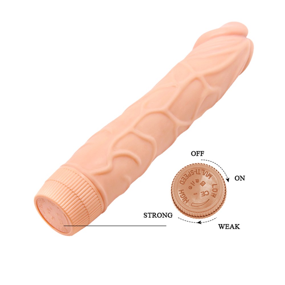 Multi Speed Vibrator