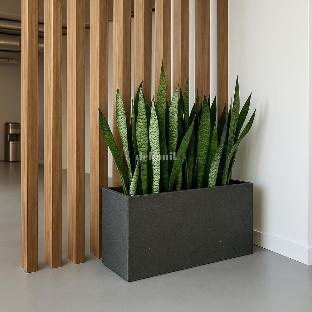 فاصل جداري من خشب الصنوبر الطبيعي 5*8*280 سم