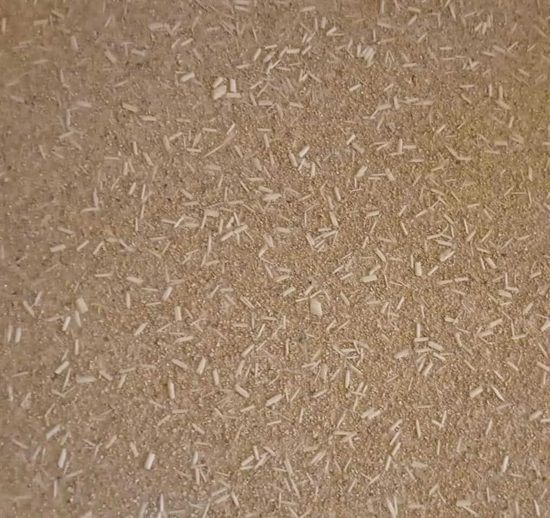 Reflection EM-147 Krem Duvar Kağıdı; Simli Duvar Kağıdı Modelleri ve Fiyatları Dekonil