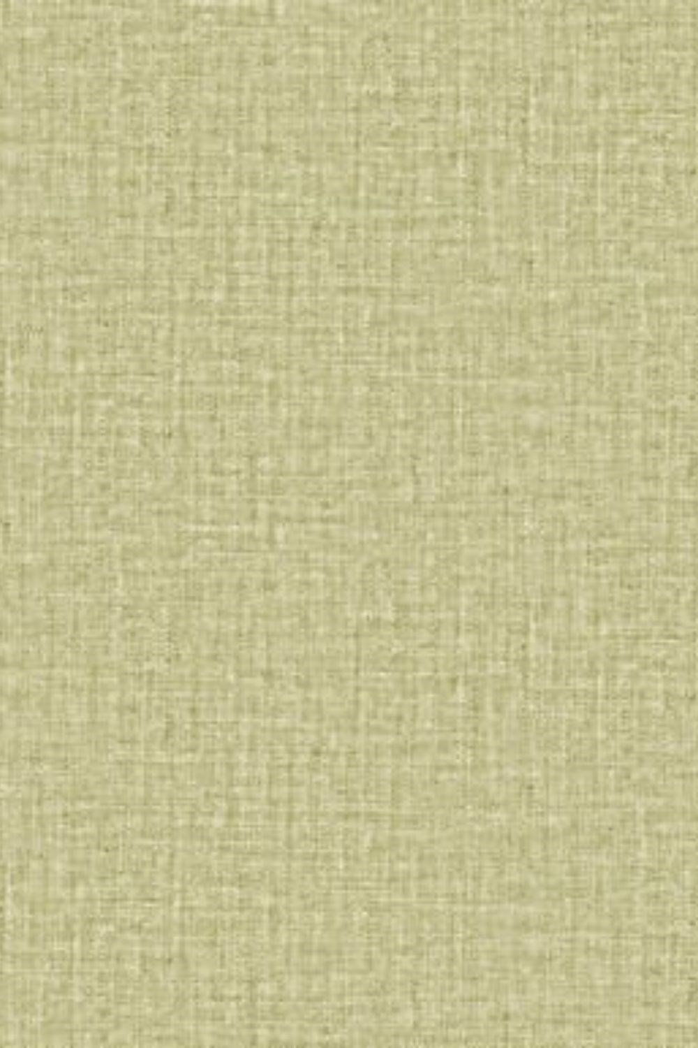 Savanna Plain Wallpaper Z77501