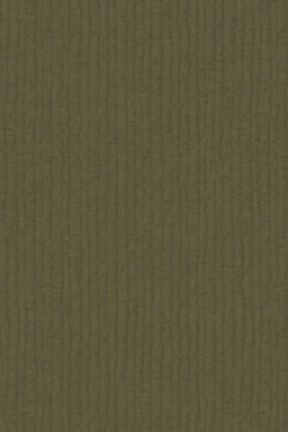 Savanna Plain Wallpaper Z77511