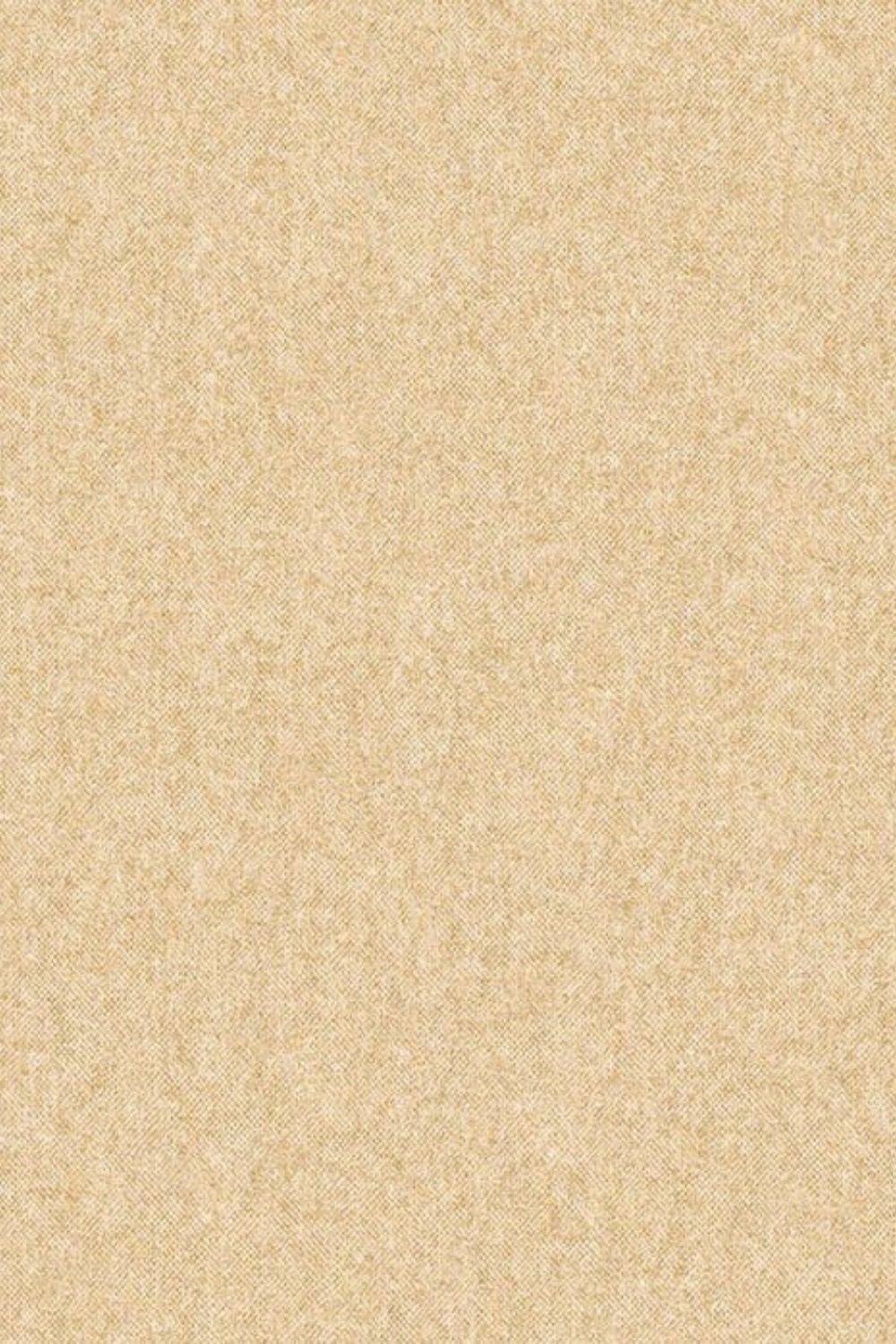 Savanna Plain Wallpaper Z77521