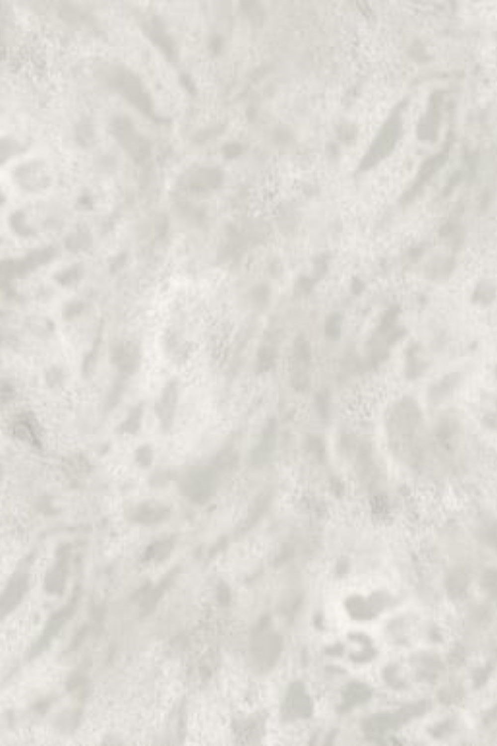Savana Leopar Desenli Duvar Kağıdı Z77548