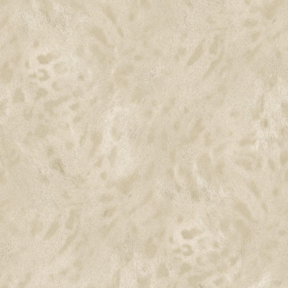 Savana Leopar Desenli Duvar Kağıdı Z77542