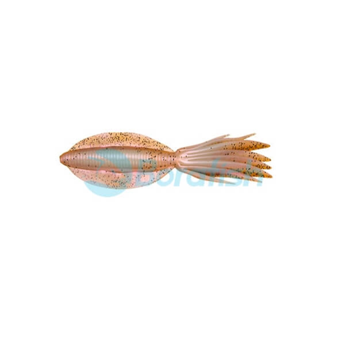 ECOGEARPOWER SQUID