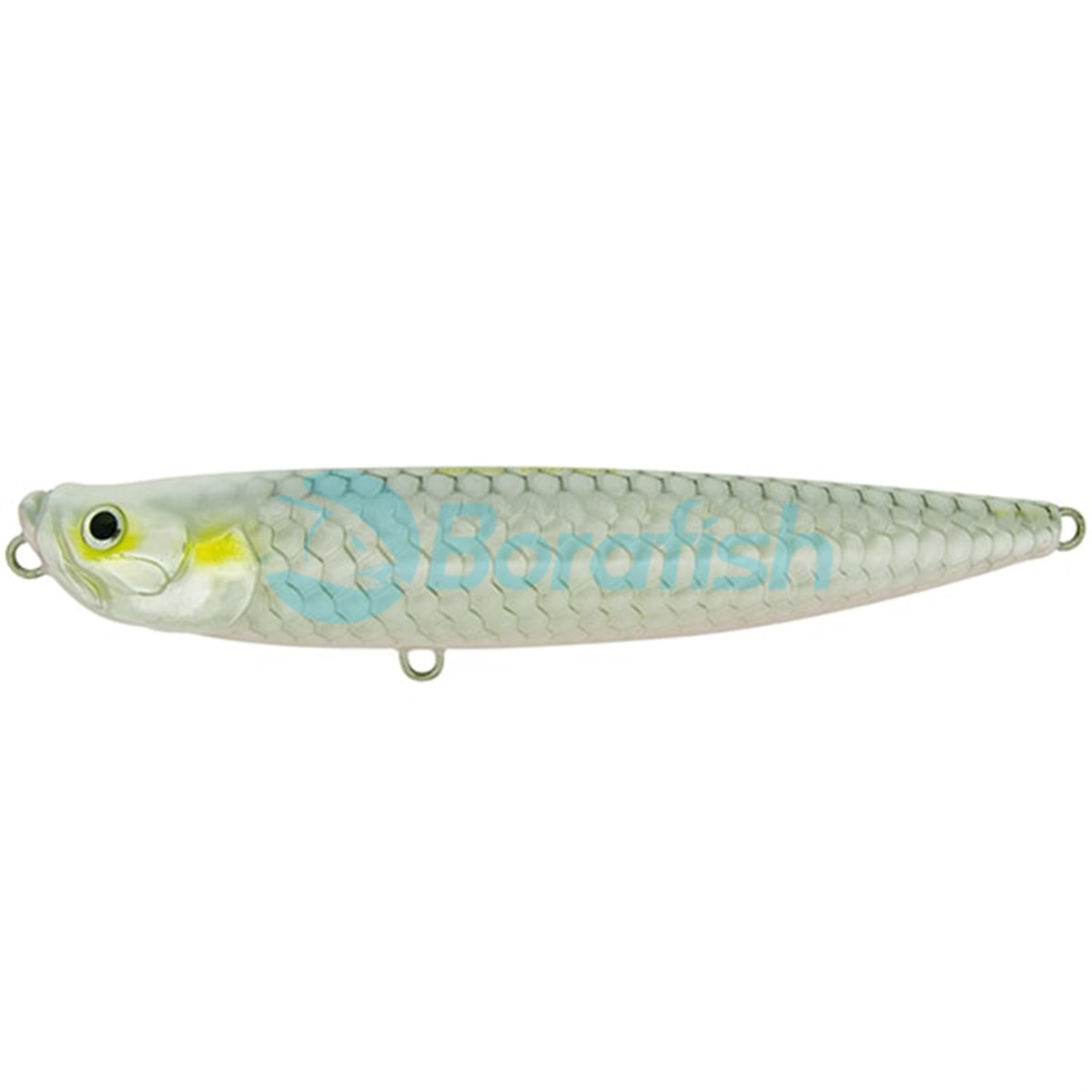 MOLIX WTD 150 T