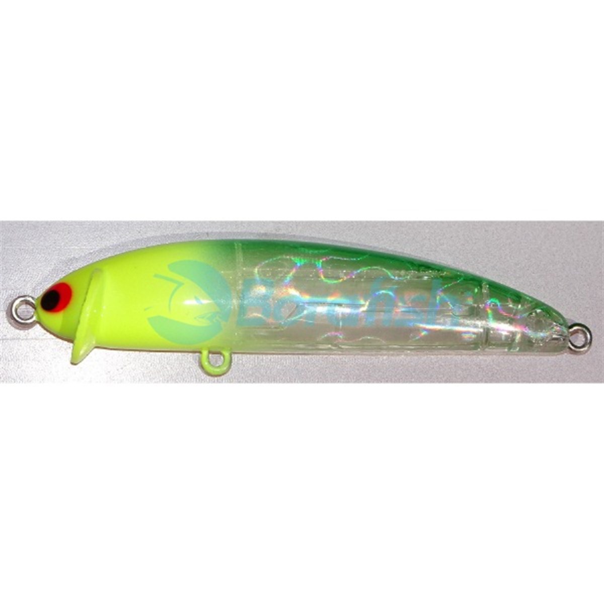 POZIDRIVE GARAGEFRILLED SWIMMER 75F