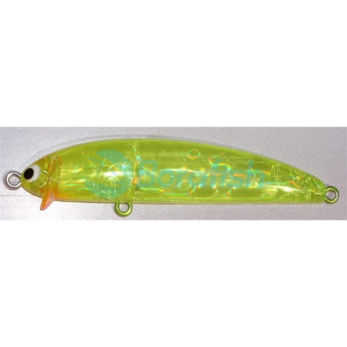 POZIDRIVE GARAGEFRILLED SWIMMER 75F