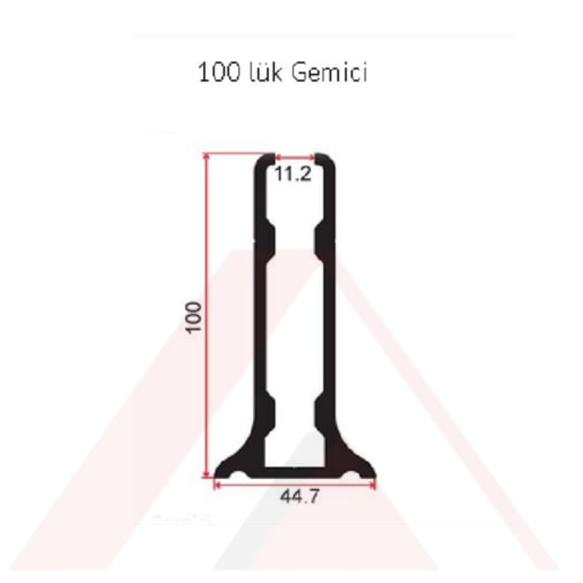 100 LÜK GEMİCİ PROFİLİ
