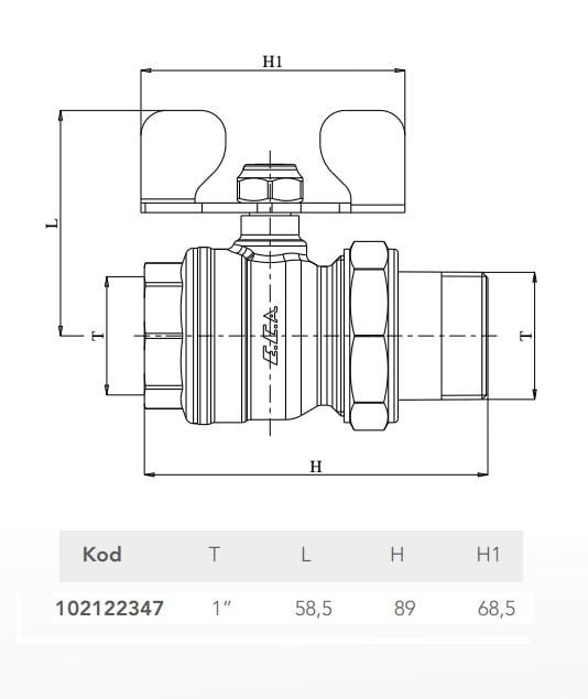 ECA 1