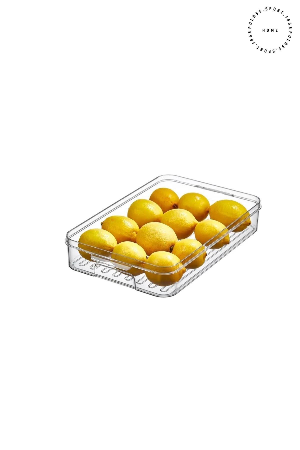 Buzdolabı Organizeri 3LT Saklama Kabı & Erzak Kabı & Düzenleyici