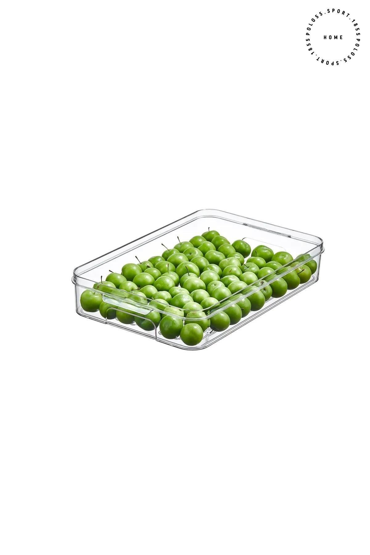 Buzdolabı Organizeri 3LT Saklama Kabı & Erzak Kabı & Düzenleyici