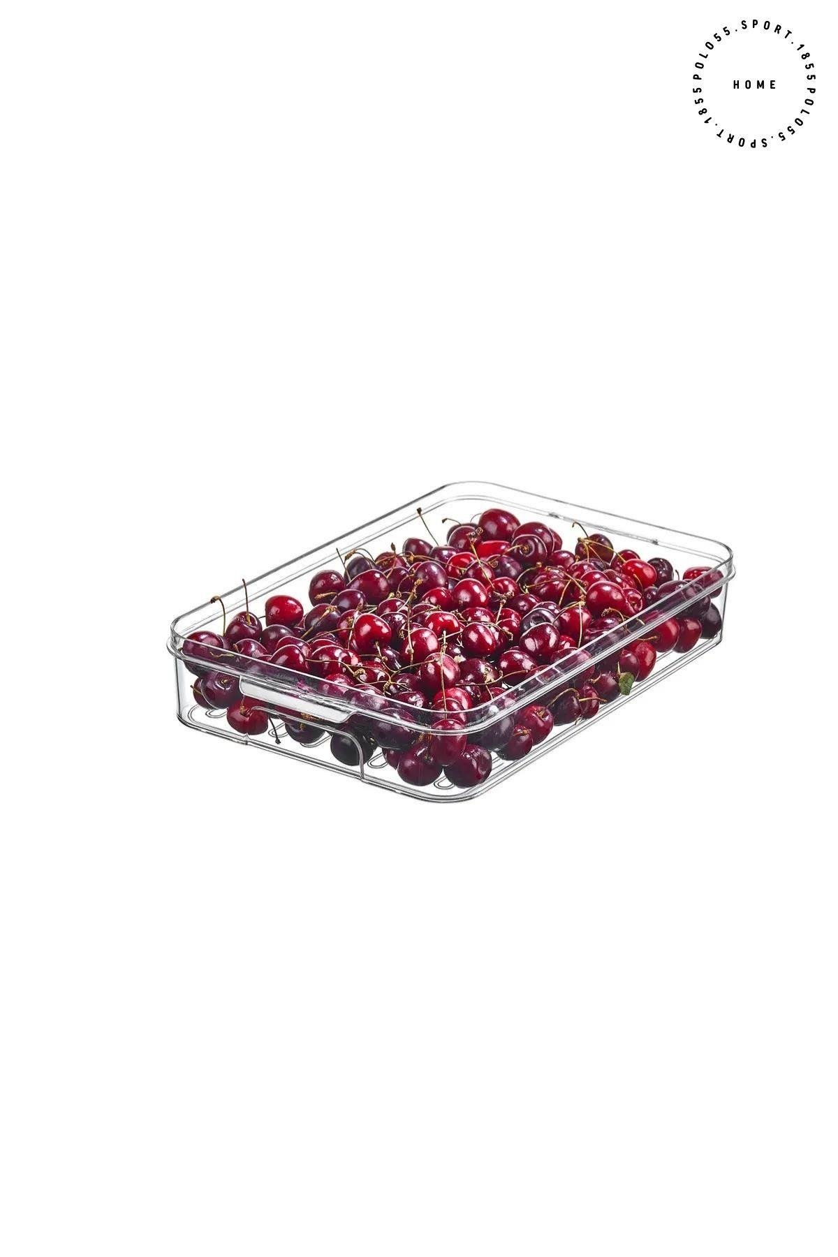 Buzdolabı Organizeri 3LT Saklama Kabı & Erzak Kabı & Düzenleyici