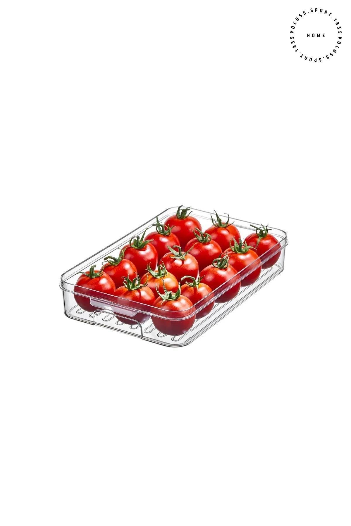 Buzdolabı Organizeri 3LT Saklama Kabı & Erzak Kabı & Düzenleyici