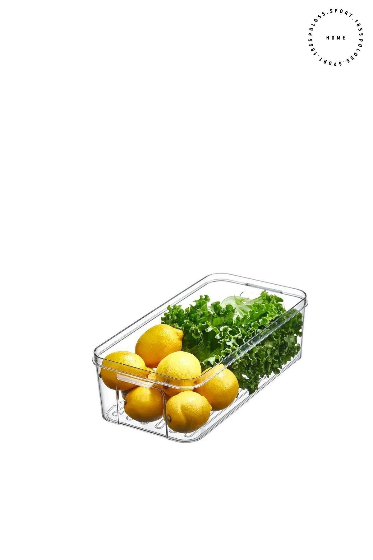 Buzdolabı Organizeri 5LT Saklama Kabı & Erzak Kabı & Düzenleyici
