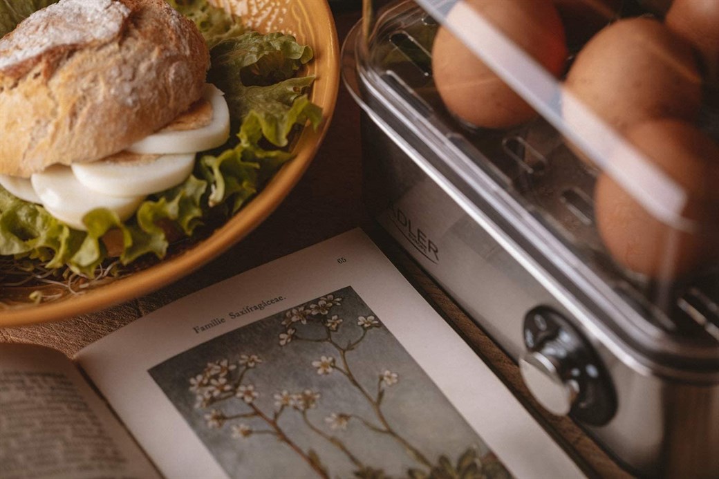 ADLER AD 4486 YUMURTA PİŞİRİCİSİ