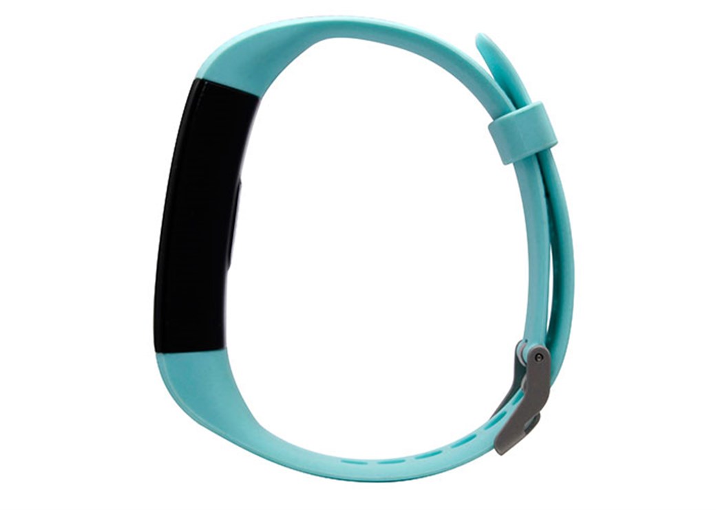 Everest FIT MATE W24 Blood Pressure Calori 