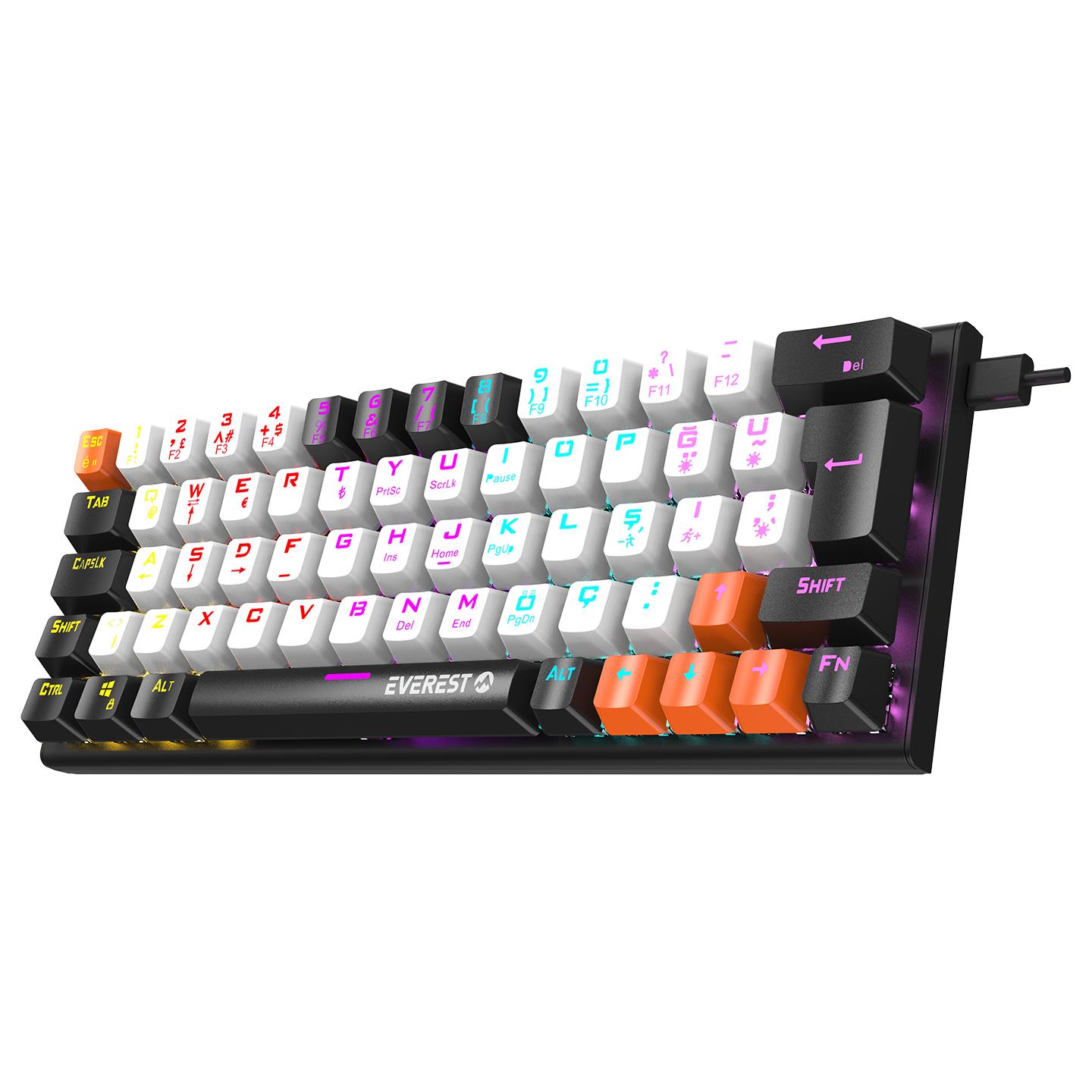Everest PARLEY Siyah/Beyaz Rainbow Aydınlatmalı Türkçe Q Blue Switch Mekanik Gaming Oyuncu Klavyesi