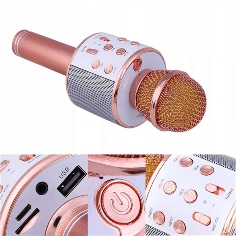 EVERVOX EVR KRK 02  KARAOKE MİKROFON