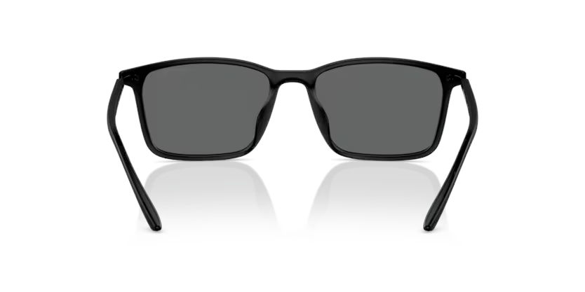 Emporio Armani 0EA 4223U 500187 56 Erkek