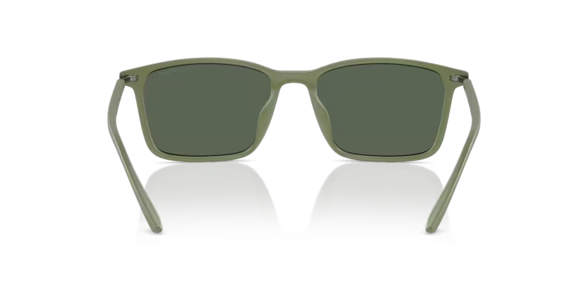 Emporio Armani 0EA 4223U 542471 56 Erkek